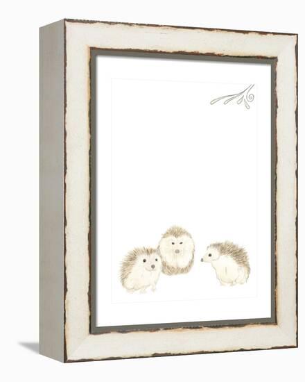 Baby Animals IV-June Erica Vess-Framed Stretched Canvas