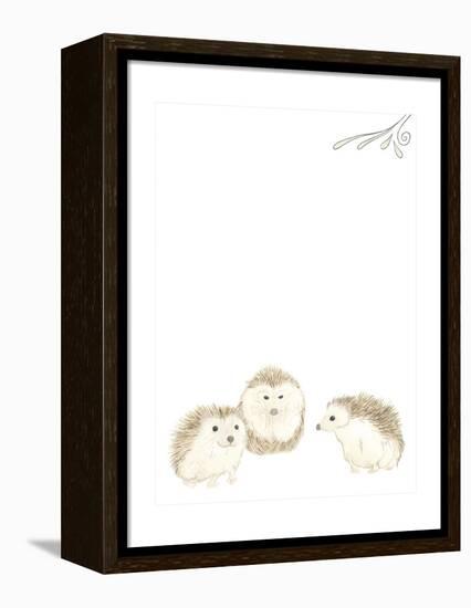 Baby Animals IV-June Erica Vess-Framed Stretched Canvas
