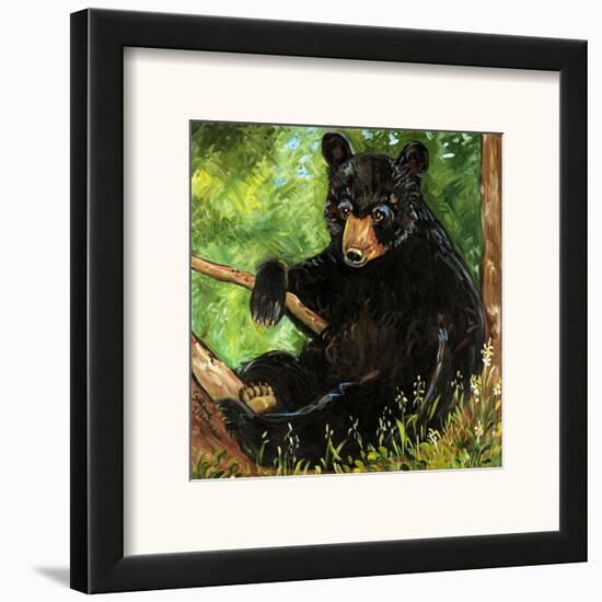Baby Bear-Suzanne Etienne-Framed Art Print