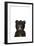 Baby Black Bear-Leah Straatsma-Framed Art Print