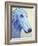 Baby Blue Borzoi-Dawgart-Framed Giclee Print