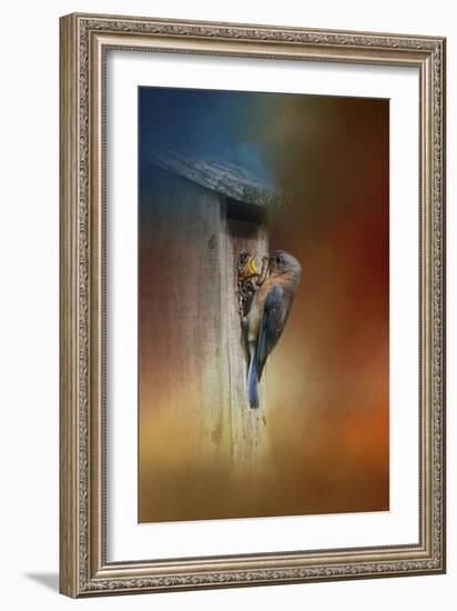 Baby Bluebird Breakfast-Jai Johnson-Framed Giclee Print