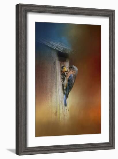 Baby Bluebird Breakfast-Jai Johnson-Framed Giclee Print