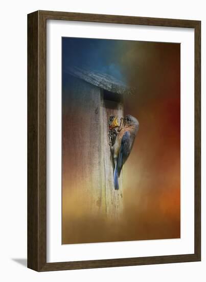 Baby Bluebird Breakfast-Jai Johnson-Framed Giclee Print