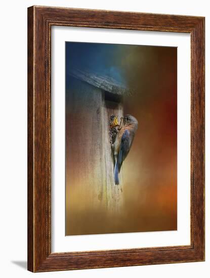 Baby Bluebird Breakfast-Jai Johnson-Framed Giclee Print