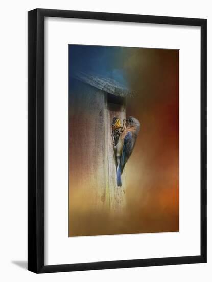 Baby Bluebird Breakfast-Jai Johnson-Framed Giclee Print