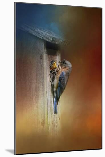 Baby Bluebird Breakfast-Jai Johnson-Mounted Giclee Print