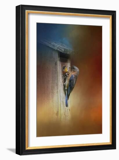 Baby Bluebird Breakfast-Jai Johnson-Framed Giclee Print