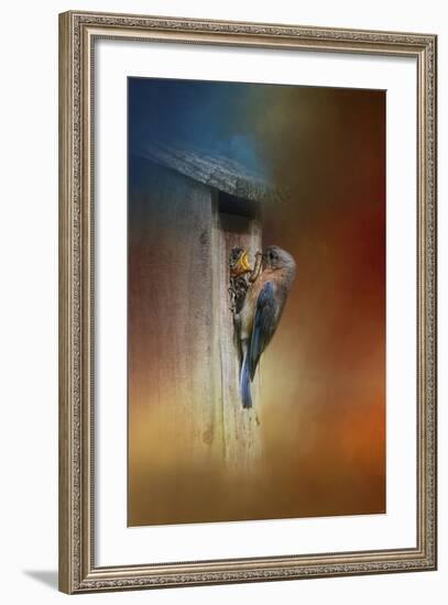 Baby Bluebird Breakfast-Jai Johnson-Framed Giclee Print