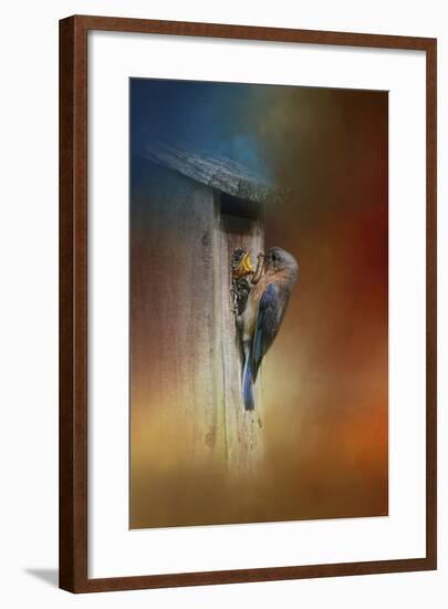 Baby Bluebird Breakfast-Jai Johnson-Framed Giclee Print