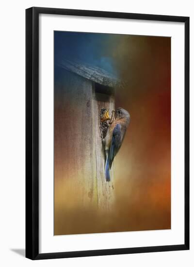 Baby Bluebird Breakfast-Jai Johnson-Framed Giclee Print