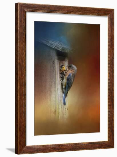 Baby Bluebird Breakfast-Jai Johnson-Framed Giclee Print