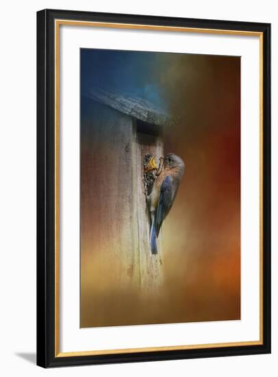 Baby Bluebird Breakfast-Jai Johnson-Framed Giclee Print