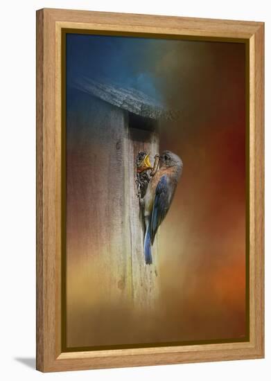 Baby Bluebird Breakfast-Jai Johnson-Framed Premier Image Canvas