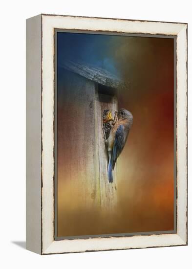 Baby Bluebird Breakfast-Jai Johnson-Framed Premier Image Canvas