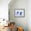Baby Boom-Cristina Salas Mendoza-Framed Photographic Print displayed on a wall