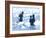 Baby Boom-Cristina Salas Mendoza-Framed Photographic Print