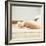 Baby Boy Crawling-Cristina-Framed Premium Photographic Print