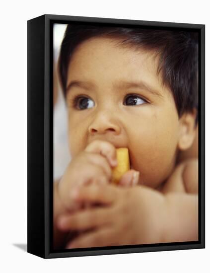 Baby Boy Eating-Ian Boddy-Framed Premier Image Canvas