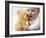 Baby Boy Playing-Tek Image-Framed Photographic Print