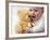 Baby Boy Playing-Tek Image-Framed Photographic Print