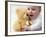 Baby Boy Playing-Tek Image-Framed Photographic Print