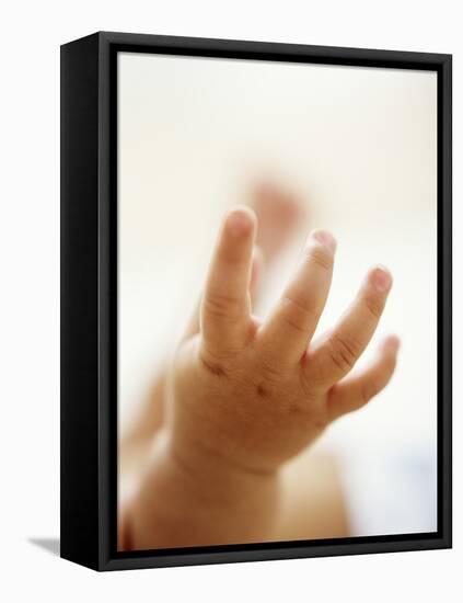 Baby Boy's Hand-Ian Boddy-Framed Premier Image Canvas