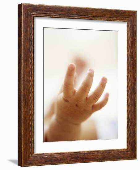 Baby Boy's Hand-Ian Boddy-Framed Photographic Print