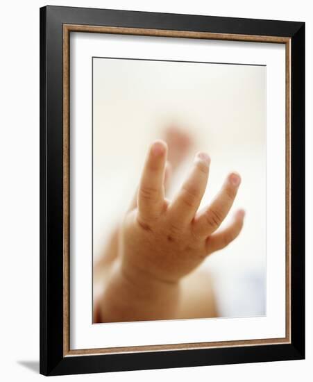 Baby Boy's Hand-Ian Boddy-Framed Photographic Print