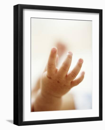 Baby Boy's Hand-Ian Boddy-Framed Photographic Print