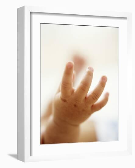 Baby Boy's Hand-Ian Boddy-Framed Photographic Print