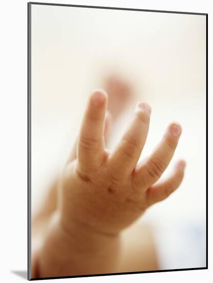 Baby Boy's Hand-Ian Boddy-Mounted Photographic Print