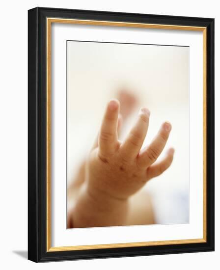 Baby Boy's Hand-Ian Boddy-Framed Photographic Print