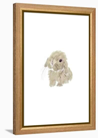 Baby Bunny-Leah Straatsma-Framed Stretched Canvas