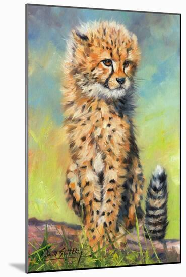 Baby Cheetah awakens!-David Stribbling-Mounted Art Print