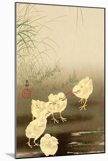 Baby Chicken and Worm!!!!-Koson Ohara-Mounted Giclee Print