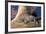 Baby Crocodile-AndamanSE-Framed Photographic Print