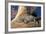 Baby Crocodile-AndamanSE-Framed Photographic Print