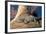 Baby Crocodile-AndamanSE-Framed Photographic Print