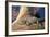 Baby Crocodile-AndamanSE-Framed Photographic Print