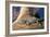 Baby Crocodile-AndamanSE-Framed Photographic Print