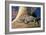 Baby Crocodile-AndamanSE-Framed Photographic Print