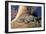 Baby Crocodile-AndamanSE-Framed Photographic Print