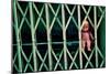 Baby Doll Through Security Fence NYC-null-Mounted Photo