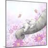 Baby Elepant Sleeping-MAKIKO-Mounted Giclee Print