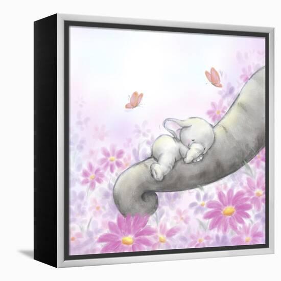 Baby Elepant Sleeping-MAKIKO-Framed Premier Image Canvas