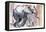 Baby Elephant, 2012-Mark Adlington-Framed Premier Image Canvas