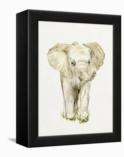 Baby Elephant II-Melissa Wang-Framed Stretched Canvas