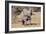 Baby Elephant III-Howard Ruby-Framed Photographic Print