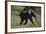 Baby Elephant Running-DLILLC-Framed Photographic Print